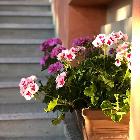 Casa Ilaria 4* Armeno