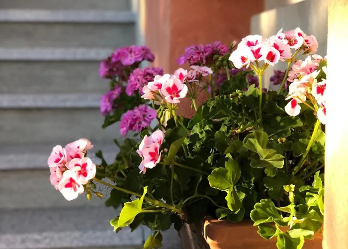 Casa Ilaria 3* Armeno